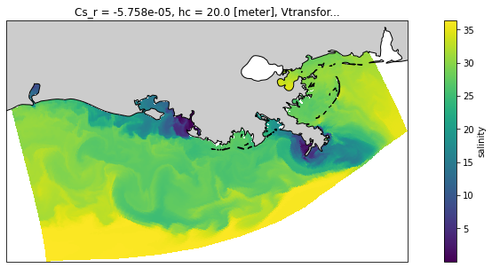 ../_images/examples_ROMS_ocean_model_15_2.png